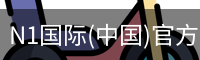 N1国际